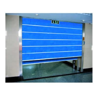 China Fire Proof China Hot Sale Electric Overhead Garage Door for sale