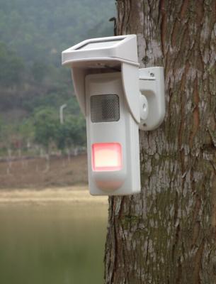 China Sistema de alarme exterior da intrusão do sensor do independente PIR para perigo de advertência das águas profundas à venda