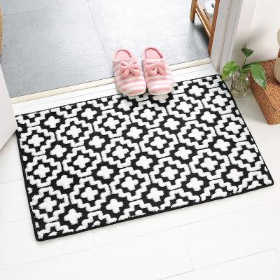 China China Factory Washable Shaggy Microfiber Doormat Clean Shoes Mat Disinfection Entrance Mat for sale