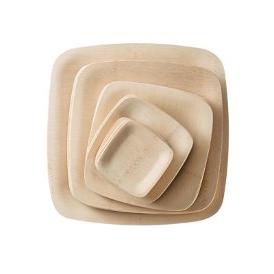 China Modern Wholesale Cheap Compostable Disposable Bamboo Food Container Of Dishes for sale