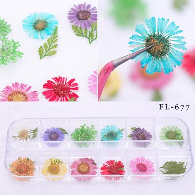 China Daisy Sticker For Nail Art Decor Decoration Dried Flower Nail Art UV Acrylic 13.5cm*5.0cm 3D Nail Art*2.0cm for sale