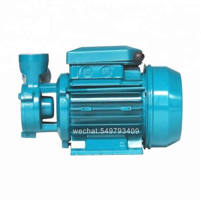 China DB750 family homes house water pump for garden irrigation for sale