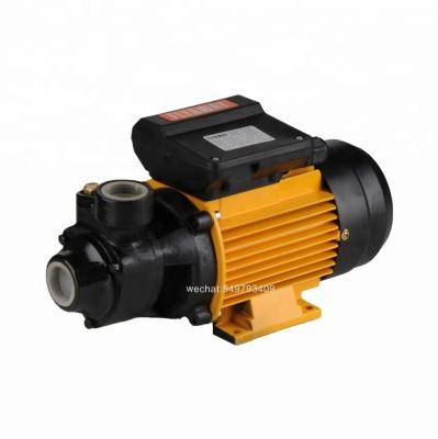 China High end high quality doemstic family homes GPM60 water pump for sale