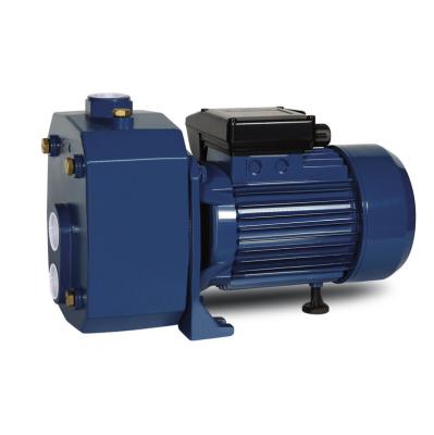 China 2hp Water Pump Electric Booster Centrifugal Water Pump for sale