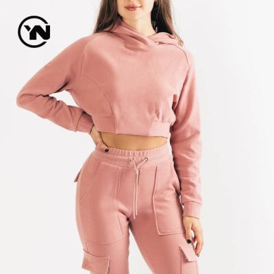 China Anti-Wrinkle Cheap Wholesale Women Good Quality No Pocket Stringless Occasion Pull Over Sweaters Hoodies Sweatshirts Vendor for sale