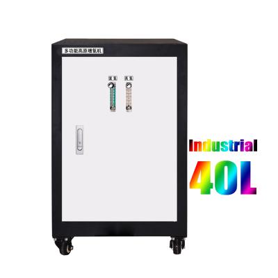 China 40 LPM High Altitude High Pressure Oxygen Concentrator For Industrial Use 680x900x1200mm for sale