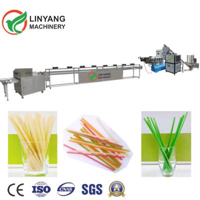 China High Efficinency Fully Automatic Stainless Steel Rice Straw Drinking Plate Making Machine for sale