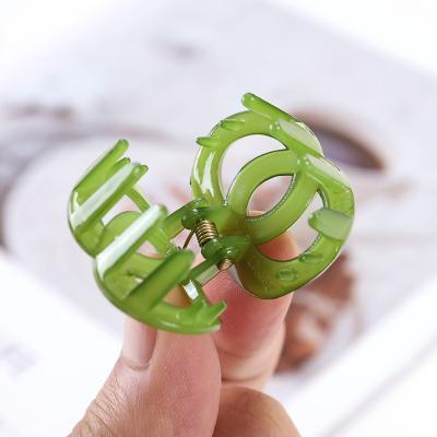 China Fashionable Chic Hair Clips Claw Indoor Outdoor Jaw Acrylic Hair Claw for Women and Girl for sale