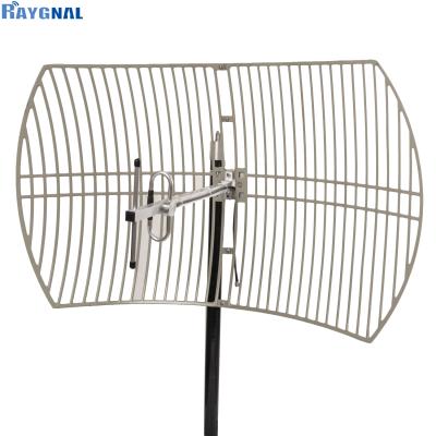 China 2020 Raygnal Gsm 900MHZ Outdoor Cover Factory Wholesale Directional High Gain Outdoor Parabolic Antenna for sale