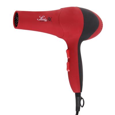 China SHUNDAN Household's Best Quick-Dry Like Fresh Breath Cute Professional Hair Dryer for sale