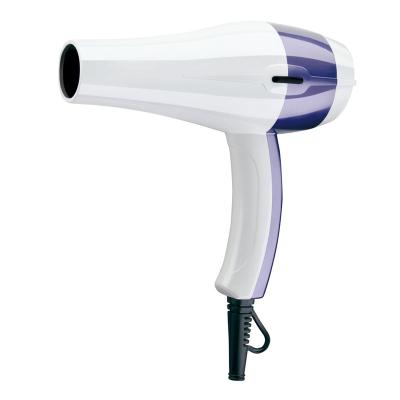 China Large Household Wind Secador De Pelo Cute Hair Dryer And Salon Use Hair Dryer for sale