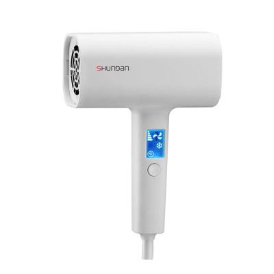 China Fashion 1600W Ionic Powerful Light Weight Silent Hair Dryer Salon Hair Dryer for sale