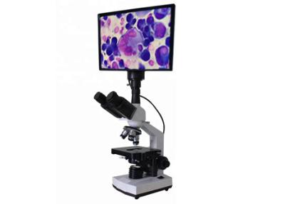 China LCD Microscopy Biology Discussion WF10X 400X Bright Field Microscope Biology Discussion for sale