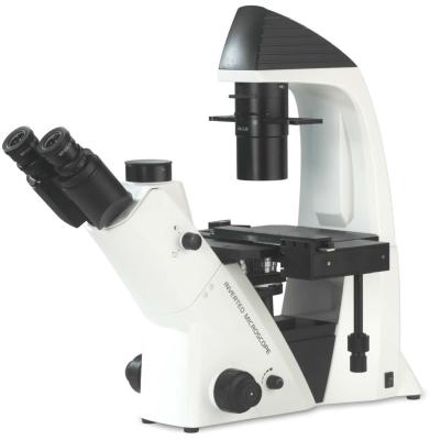 China 40X-400X Inverted Optical Microscope WF10X 22mm For Cell Observation And Cultivation for sale