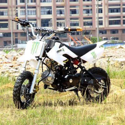 China Off Road Motorhomes Gas 125 CC Front And Rear 10 Inch Tire Customize 125cc 4 Stroke Off Road Mini Chain Dirty Sport Motorbikes For Adult for sale