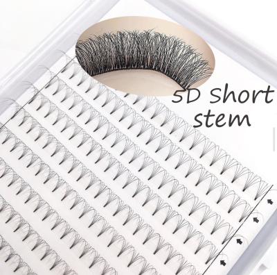 China Natural professional long eye lashes 5d mixed mink lahes 3d mink eyelashes best product 5d false eyelashes for sale