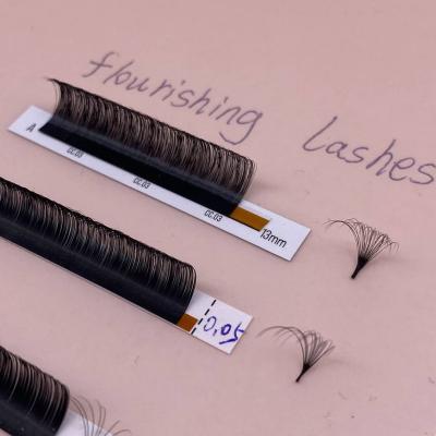 China Long Natural Mink Person Lashes Eyelash Extensions Private Label D Easy Fanning Loop Eyelash Extensions for sale