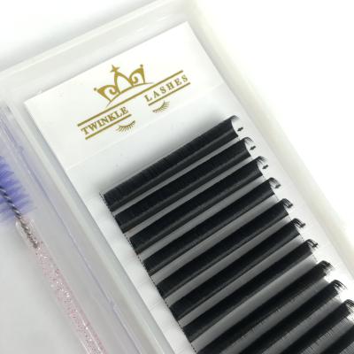 China New 2020 Natural Trending Product Faux Mink Private Label Long Trays Fast Fan Mega Volume Eyelashes Extension for sale