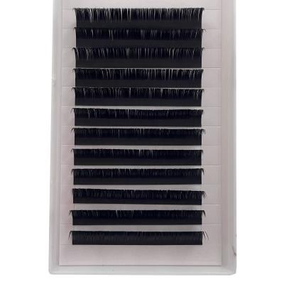 China Natural Private Label Matte Black Flat Lashes Wholesale Price Extensions 0.15 0.20 Millimeter Ellipse Flat Lashes for sale