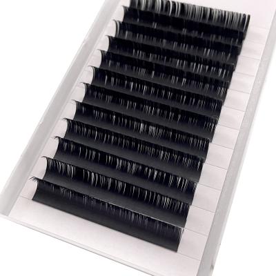 China Professional Wholesale Natural Ellipse Flat Lashes Korean Double Tip Slit Eyelash Extensions Two Flat Tips Lashes for sale