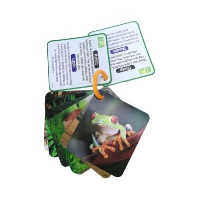 China Education 2023 Wholesale Chinese English Alphabet Education Cognitives Learning Children Play Flash Cards Flashcards Custom Printing for sale