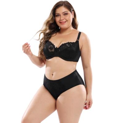 China Market price QUICK DRY international women plus size bra set for high quality for sale