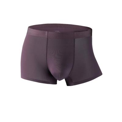 China Top Quality Seamless Highly Used Men's Briefs Boxers Mens Ice Silk Underwear for sale