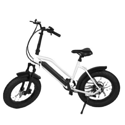 China New Design Steel E-bike with Fat Tire for Girls or Kids for sale