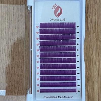 China Natural purple color eyelash extensions for sale