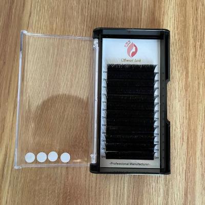 China 0.1mm V Volume Natural Eyelash Extensions for sale