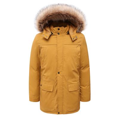 China Custom Made Outdoor Jackets Waterproof For Men Winter Stripper Jacket With Hood Down Jacket Men for sale