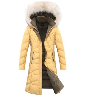 China High Quality QUICK DRY Winter Coats For Women Polyester Padded Long Stripper Jacket Women With Fur Hood for sale