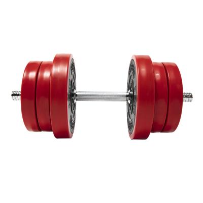 China 2020 fitness dumbbell factory hot sales dumbbell for sale high quality dumbbell fitness dumbbell for sale