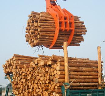 China Leistungsfähiges Bagger-Zupacken-Zubehör-hält sich hydraulisches Bauholz-Zupacken/Bagger-Holz fest zu verkaufen