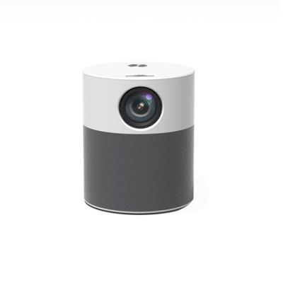 China Internet Item China Wholesale Price High Quality Gray White 215x211x180mm Home Theater Projector for sale