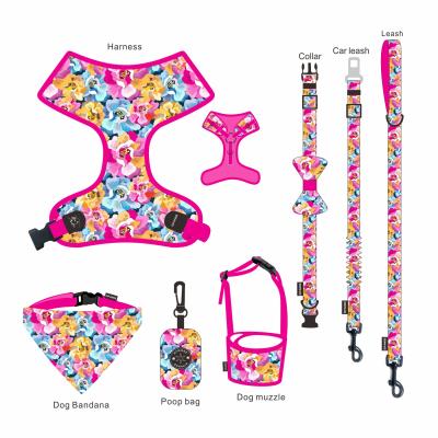 China Luxury Padded Pet Accessories 7 in 1 OEM&ODM Soft Padded Polyester Customize Dog Leash Set for sale