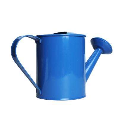 China Cartoon Garden Gardening Tools Kettle Iron Watering Can Flower Watering Tool for sale