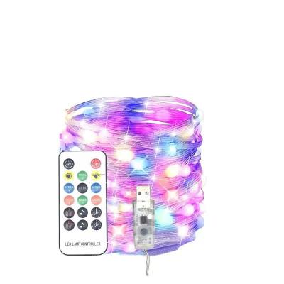 China Smart Fairy Outdoor Decoration Digital String Lights Rainbow RGBIC USB Fairy Led Lights WS2812 For Bedroom for sale