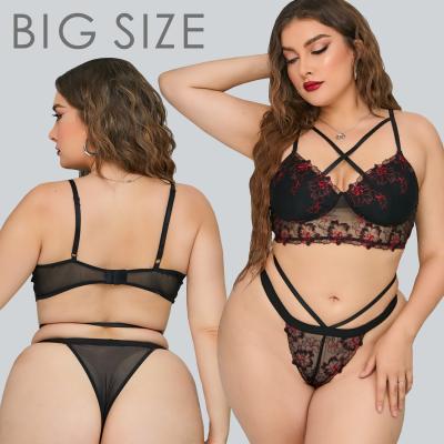 China Adult Plus Size Women's Plus Size Lingerie Women's Quality Sheer Lingerie for sale