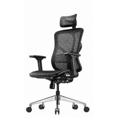 China Ergonomic (Height)Adjustable Mesh Office Chair with Headrest and Lumbar Support and 3D Armrest for Executive and Manager for sale