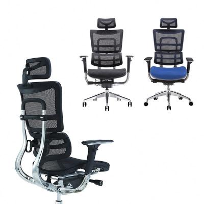 China Wholesale Adjustable (Height) Full Mesh Ergonomic Desk Chair Modern Luxury Executive With 2D Headrest for sale