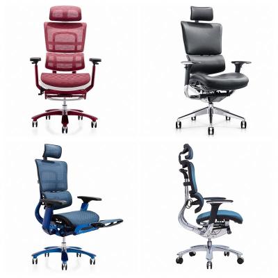 China Lumbar Support Adjustable Ergonomic Mesh Company Chair (Height) Ergonomic Office Chair for Workstation and Manager for sale