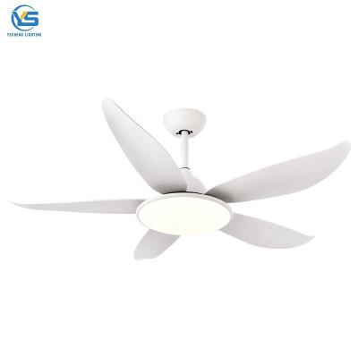 China Ceiling Fans 52 Inch Ceiling Fan Wood Blade Ceiling Fan With Color Leds Ceiling Fan Novelty for sale