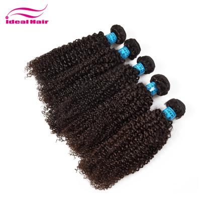 China Unprocessed Kinky Curly Indian Remy Indian /brazilian /malaysian/peruvian curly hair for sale