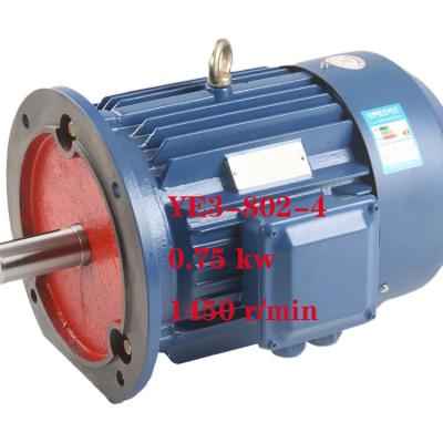 China Widely Used 0.75 Kw 380V YE3 Series Electric Motor Variable Speed ​​Motor 3 Phase Asynchronous Electric Motor for sale