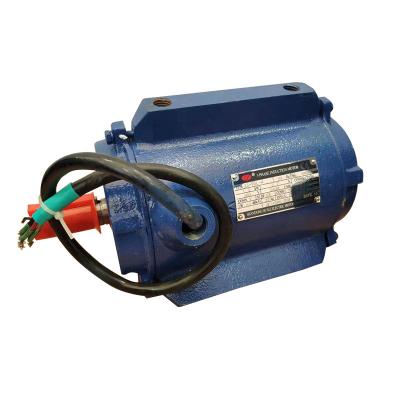 China Electric motor the fine quality three phase induction motor, induction motor for electric vehicles for sale