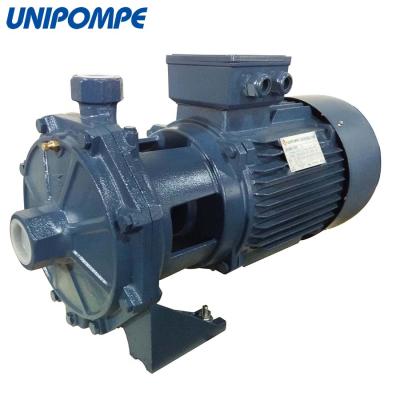 China Automotive Industry High Pressure Double Impeller Centrifugal Water Pump for sale