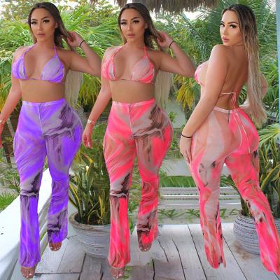 China Breathable Bra Top Hot Selling Pants Set 2 Pieces Set Cover Up Two Piece Print Mesh Two Piece Outfit Beach Wear Women Swimsuit for sale