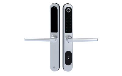 China Mobile TTLOCK APP Fingerprint Smart Door Lock European Standard Apartment for sale