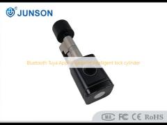 Bluetooth Tuya App Fingerprint Intelligent lock cylinder